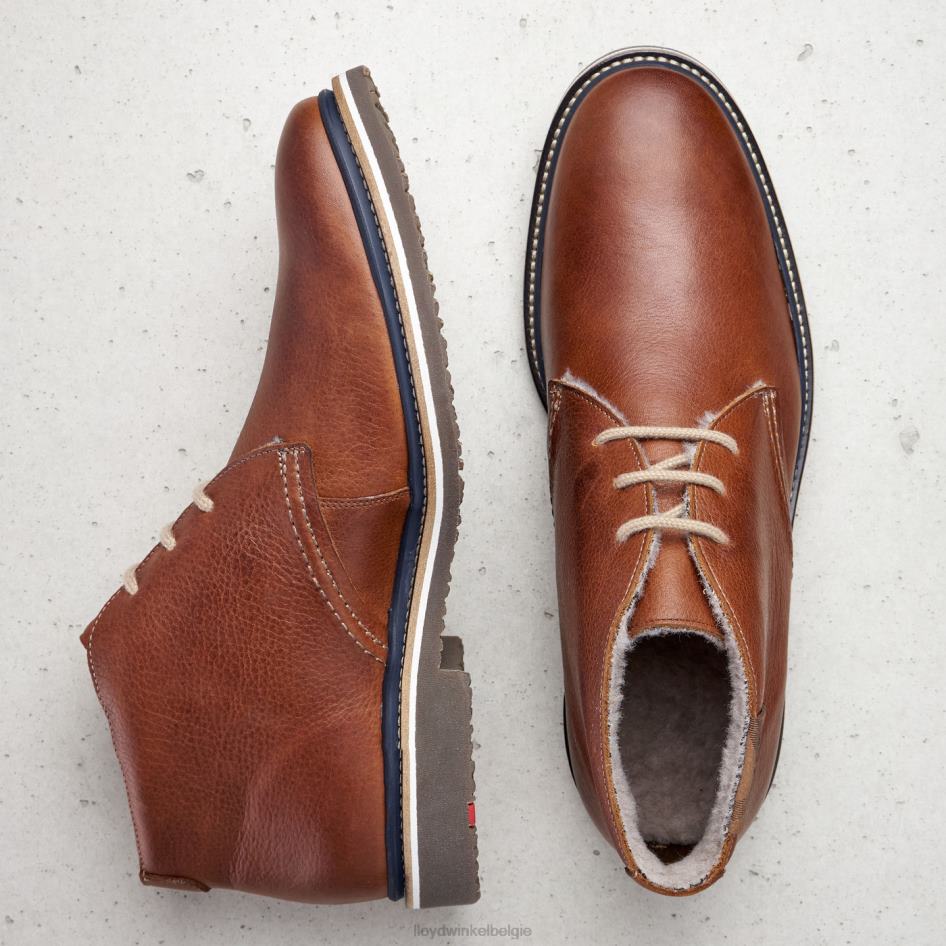 Valencia Heren LLOYD bruin schoenen ZJ6BL507