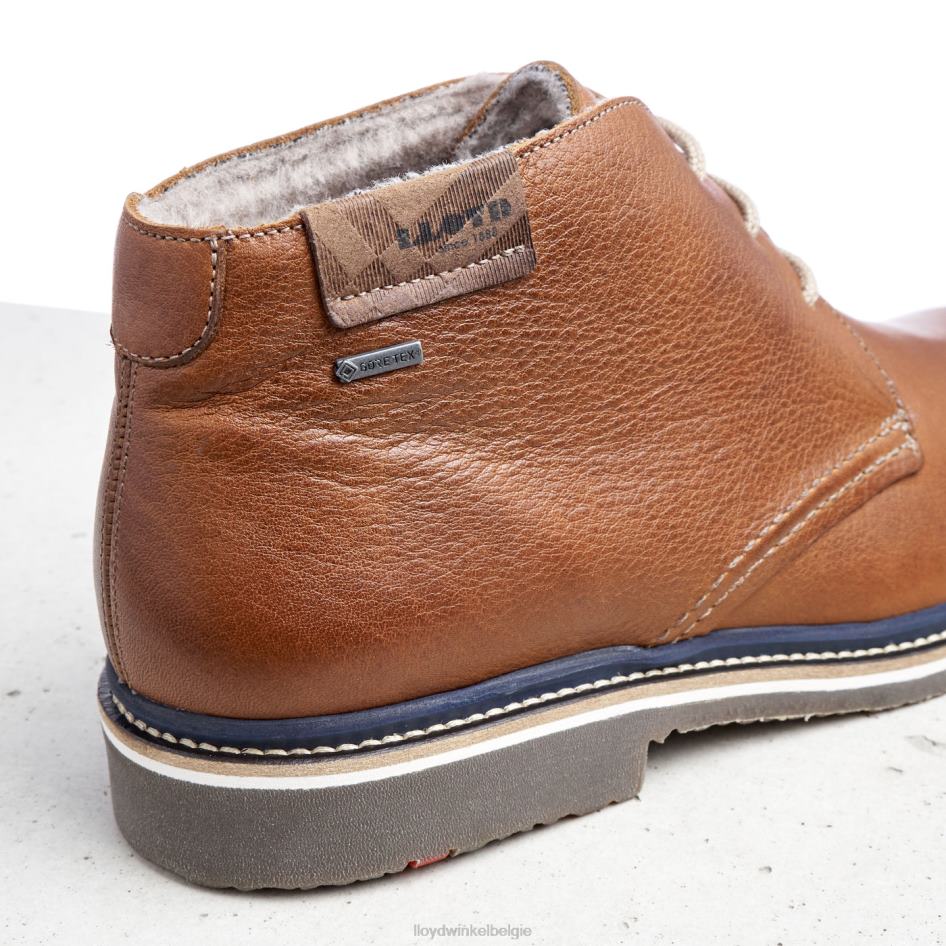 Valencia Heren LLOYD bruin schoenen ZJ6BL507