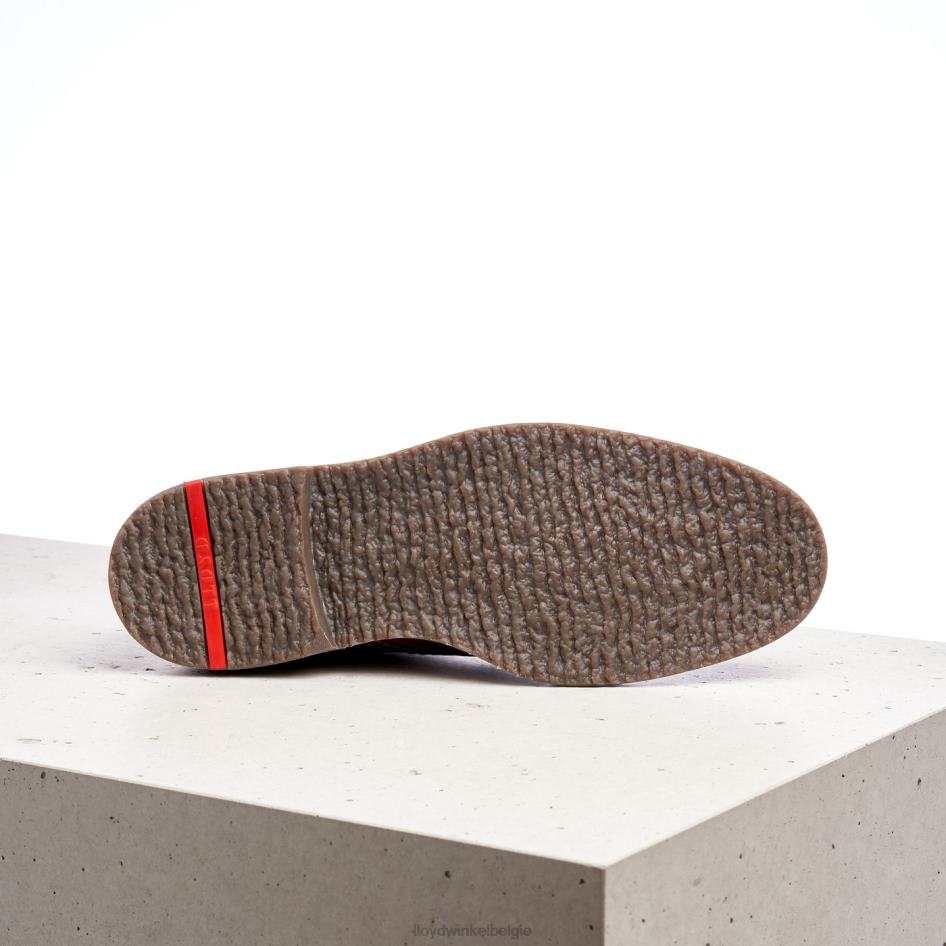 Valencia Heren LLOYD bruin schoenen ZJ6BL507