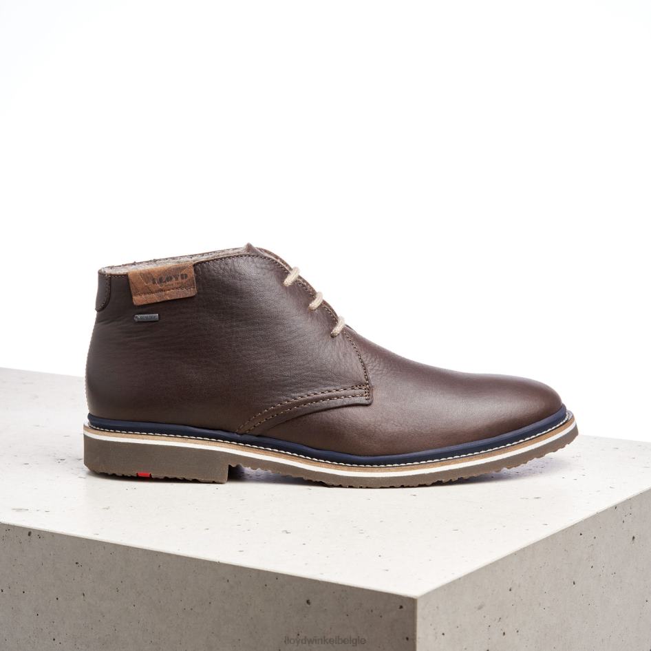 Valencia Heren LLOYD bruin schoenen ZJ6BL508