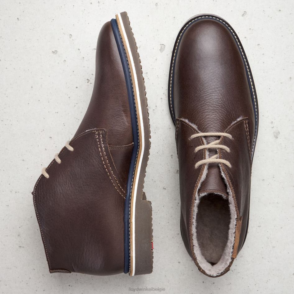 Valencia Heren LLOYD bruin schoenen ZJ6BL508