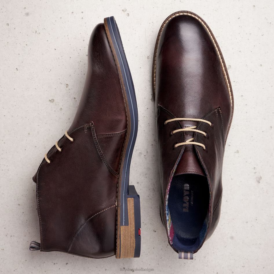 daniël Heren LLOYD bruin schoenen ZJ6BL168