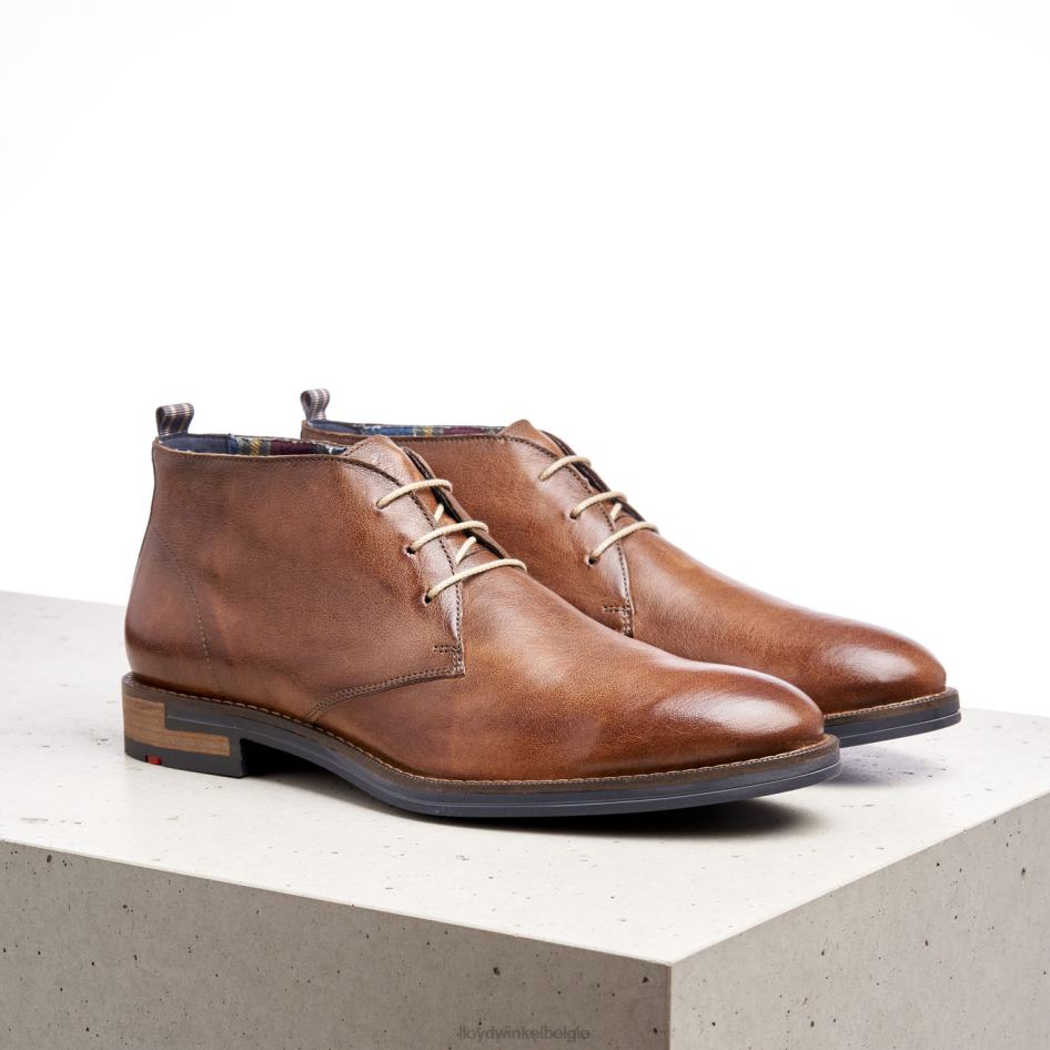daniël Heren LLOYD bruin schoenen ZJ6BL549
