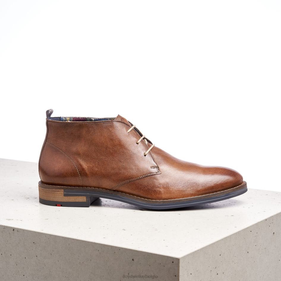 daniël Heren LLOYD bruin schoenen ZJ6BL549