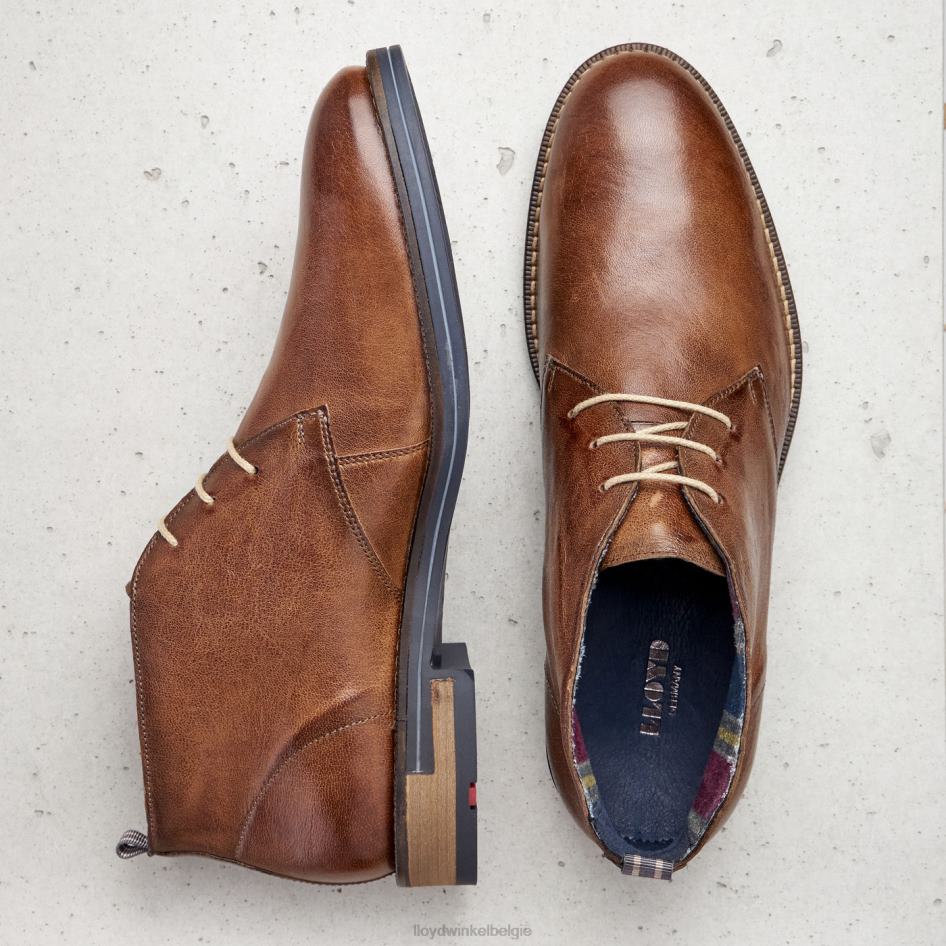 daniël Heren LLOYD bruin schoenen ZJ6BL549