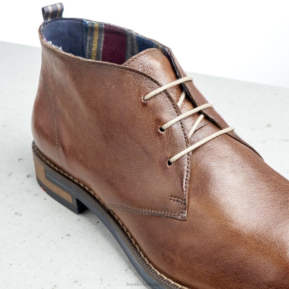 daniël Heren LLOYD bruin schoenen ZJ6BL549