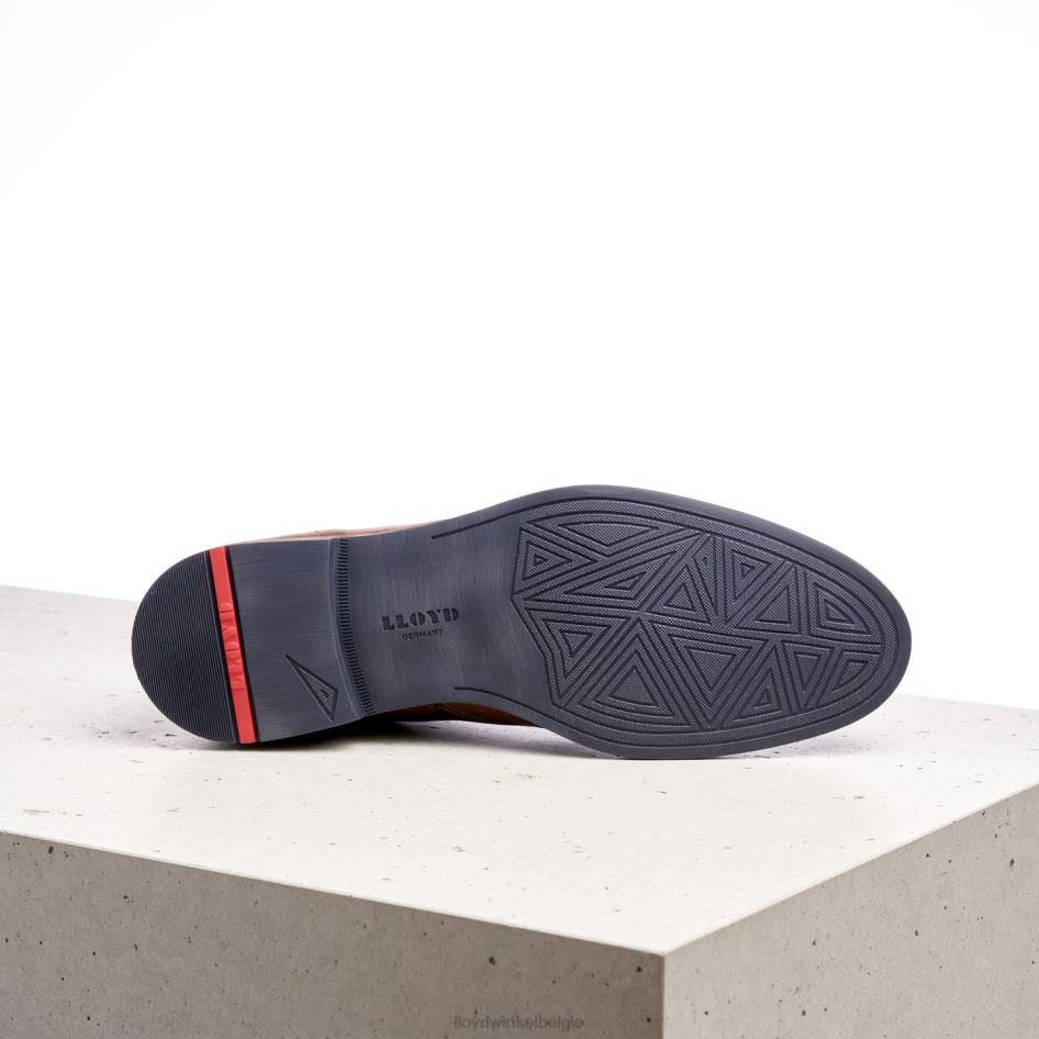 daniël Heren LLOYD bruin schoenen ZJ6BL549