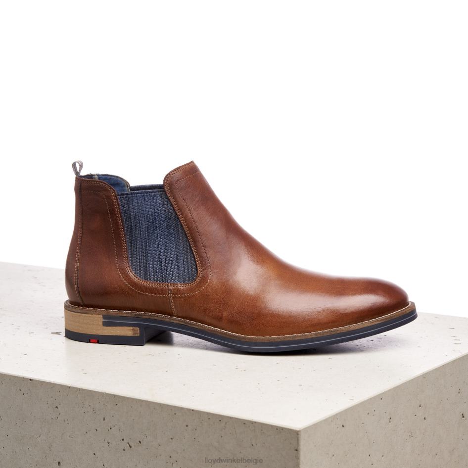 dario Heren LLOYD bruin schoenen ZJ6BL1343