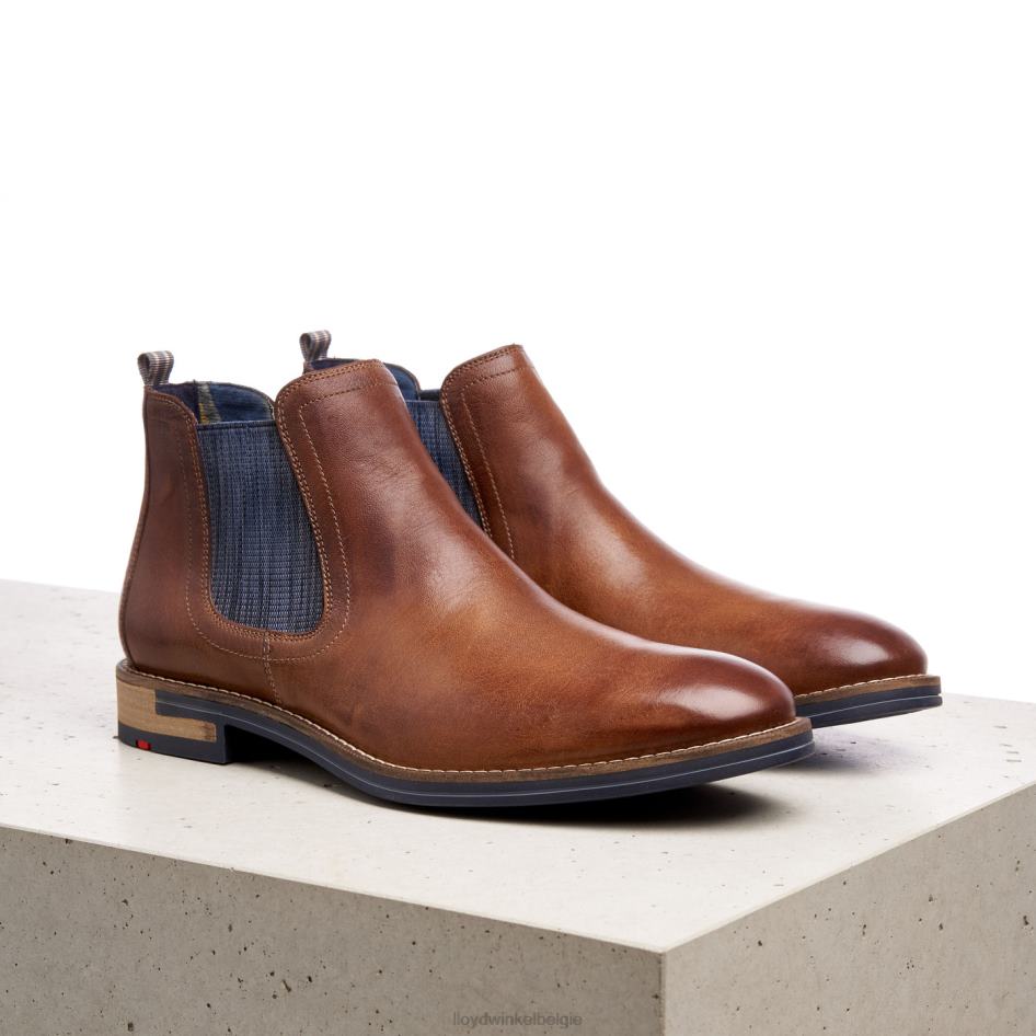 dario Heren LLOYD bruin schoenen ZJ6BL1343