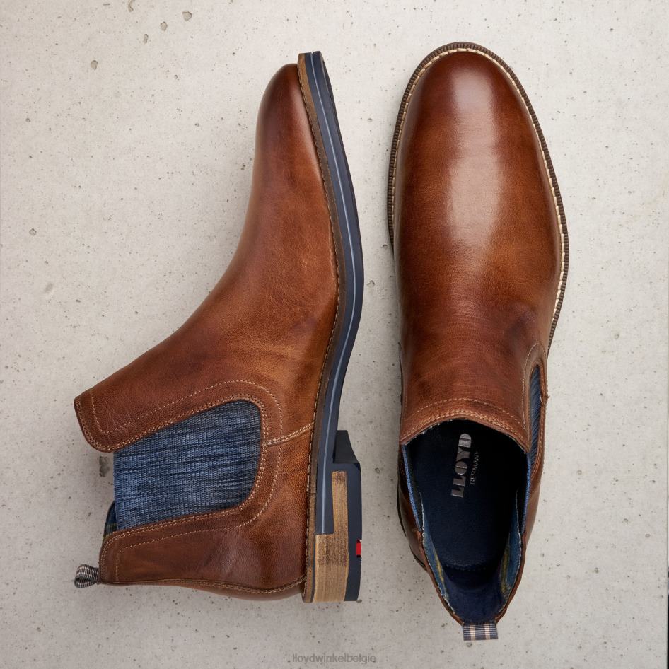 dario Heren LLOYD bruin schoenen ZJ6BL1343