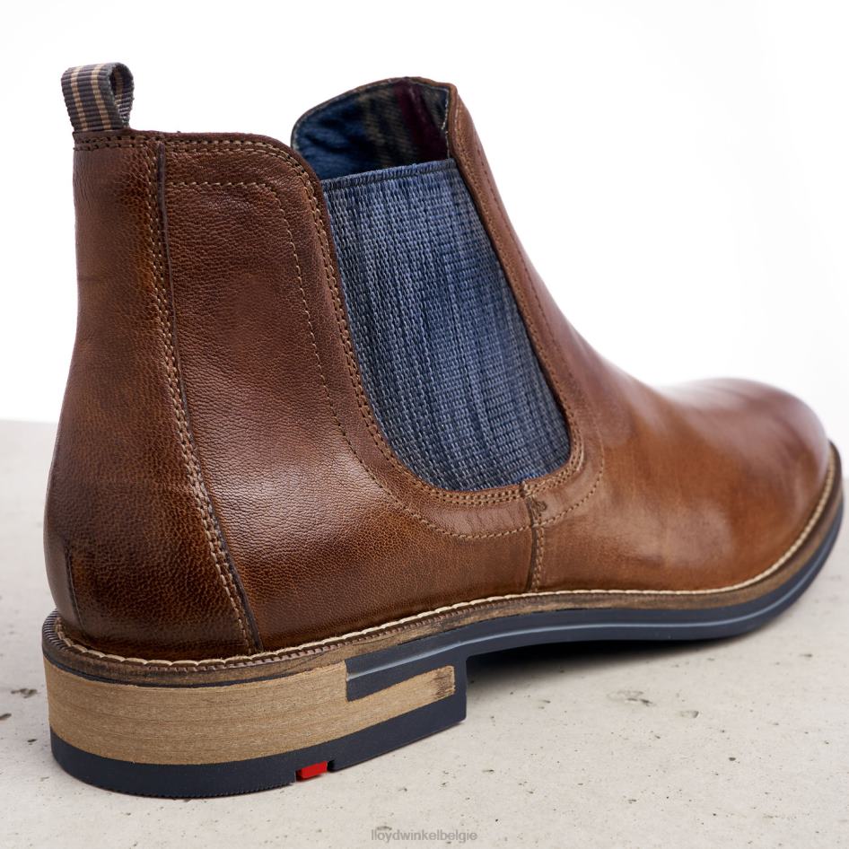 dario Heren LLOYD bruin schoenen ZJ6BL1343