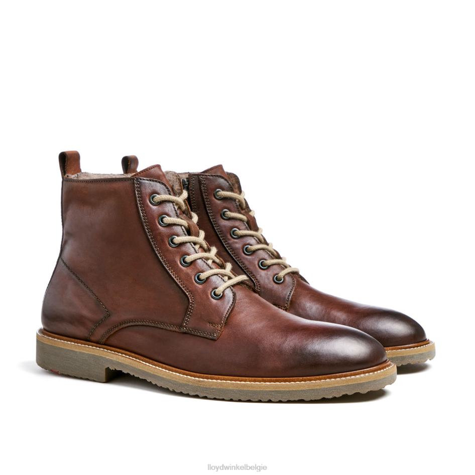 darwin Heren LLOYD bruin schoenen ZJ6BL475