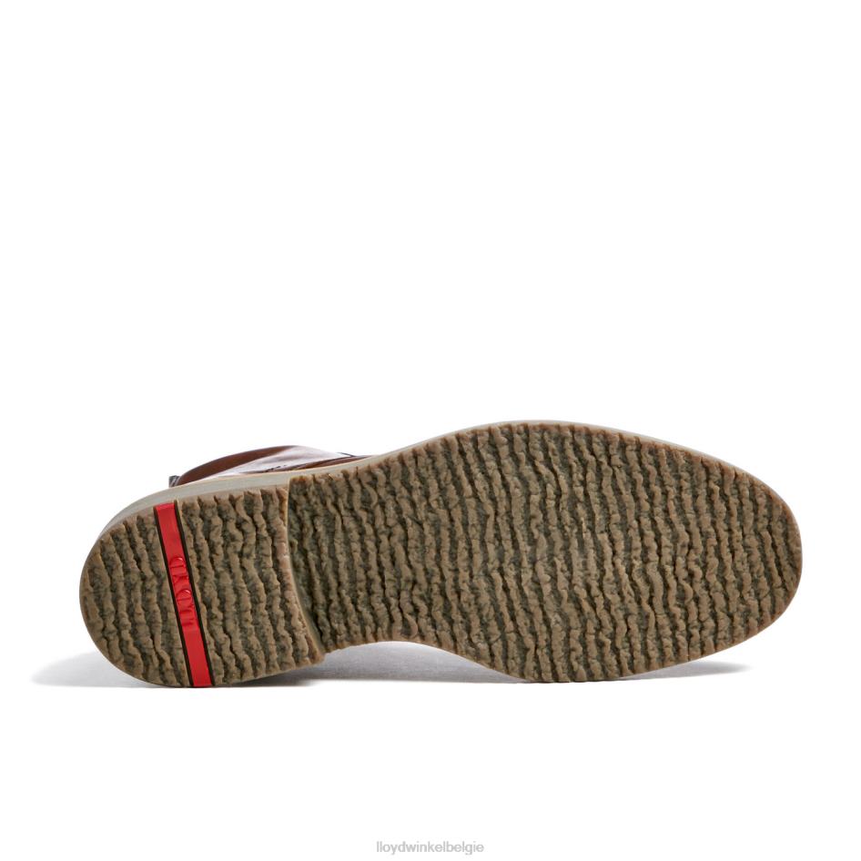 darwin Heren LLOYD bruin schoenen ZJ6BL475