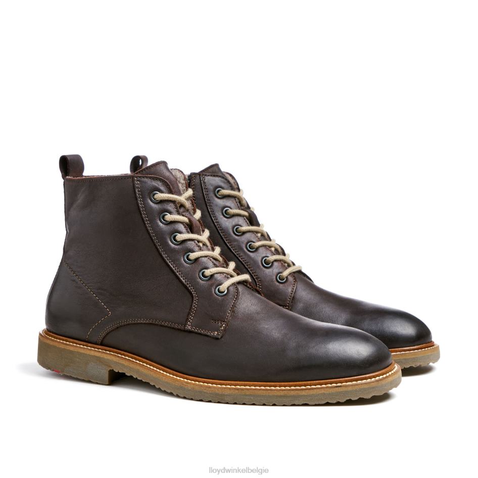 darwin Heren LLOYD bruin schoenen ZJ6BL476