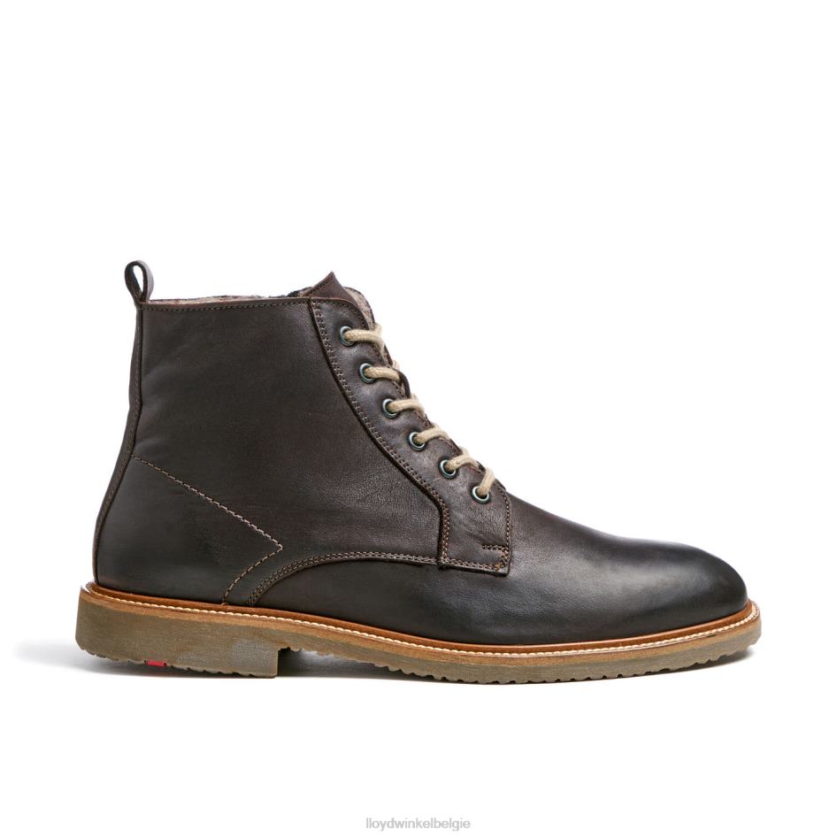 darwin Heren LLOYD bruin schoenen ZJ6BL476