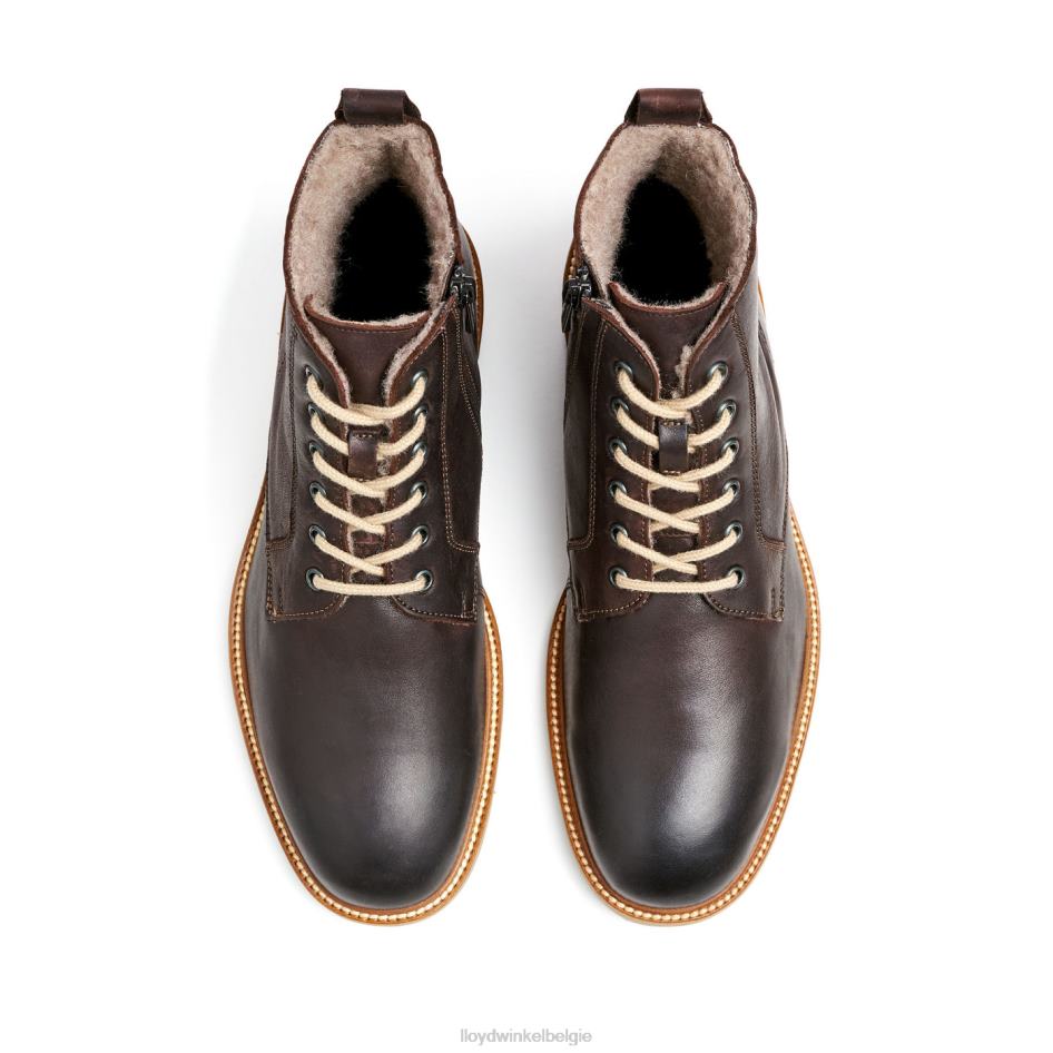 darwin Heren LLOYD bruin schoenen ZJ6BL476