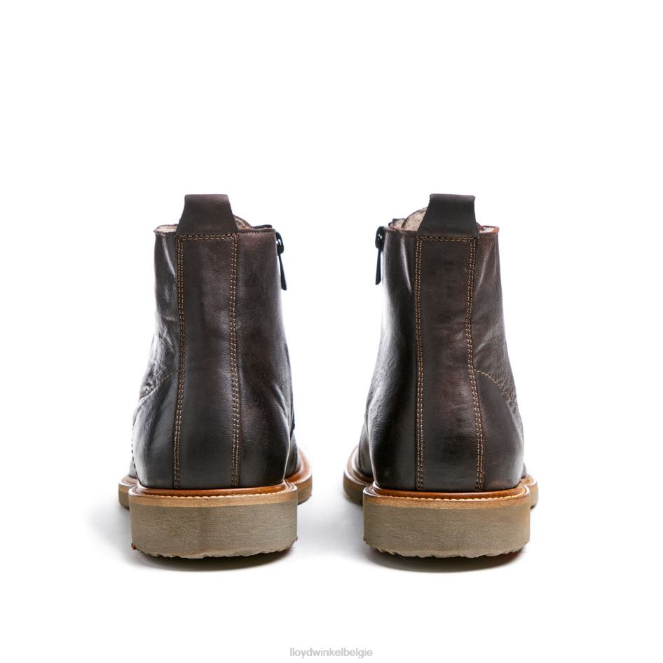 darwin Heren LLOYD bruin schoenen ZJ6BL476