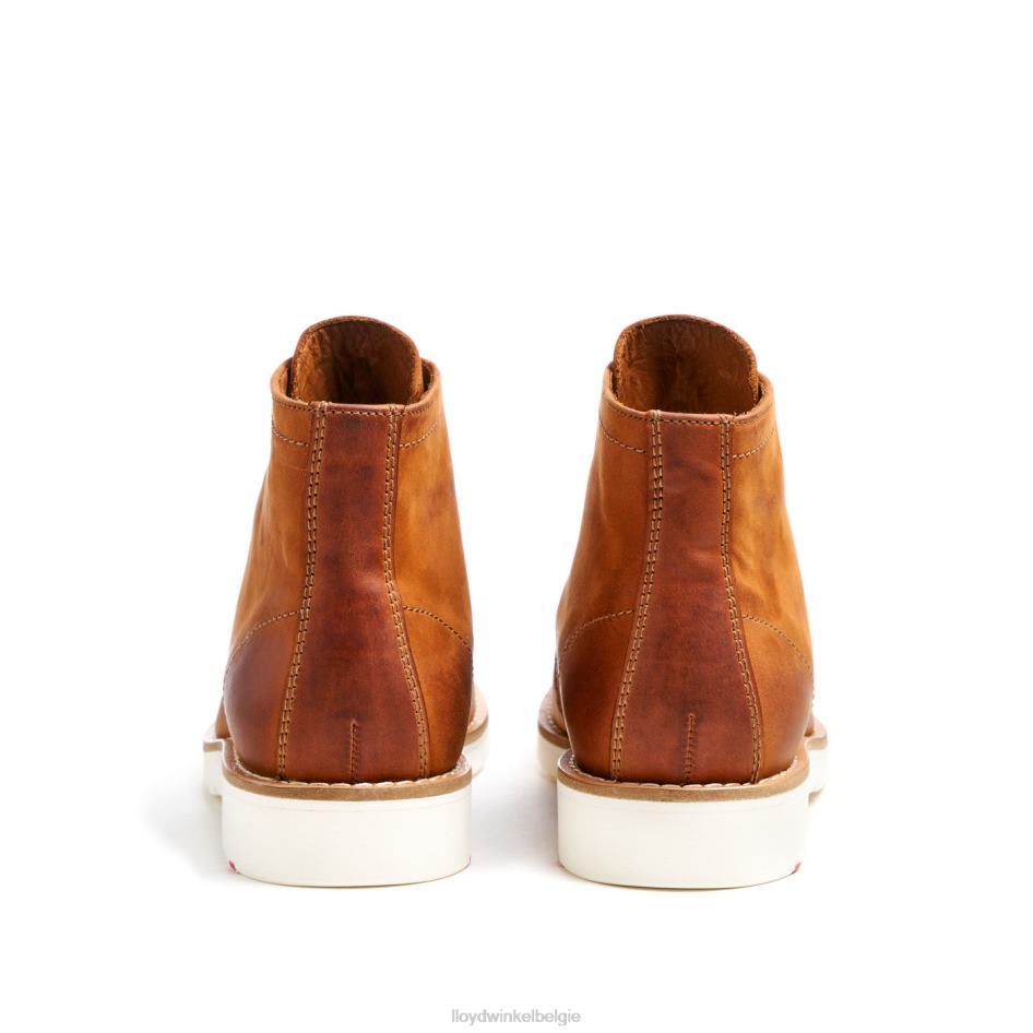 debar Heren LLOYD bruin schoenen ZJ6BL501