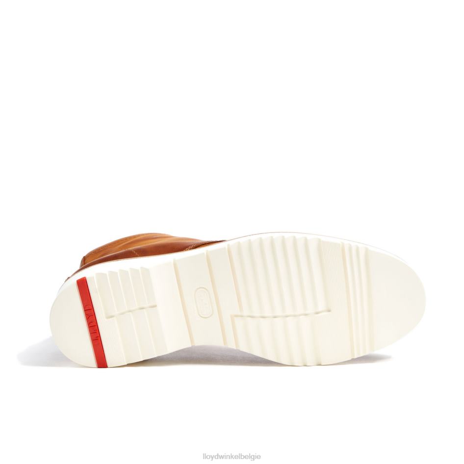 debar Heren LLOYD bruin schoenen ZJ6BL501