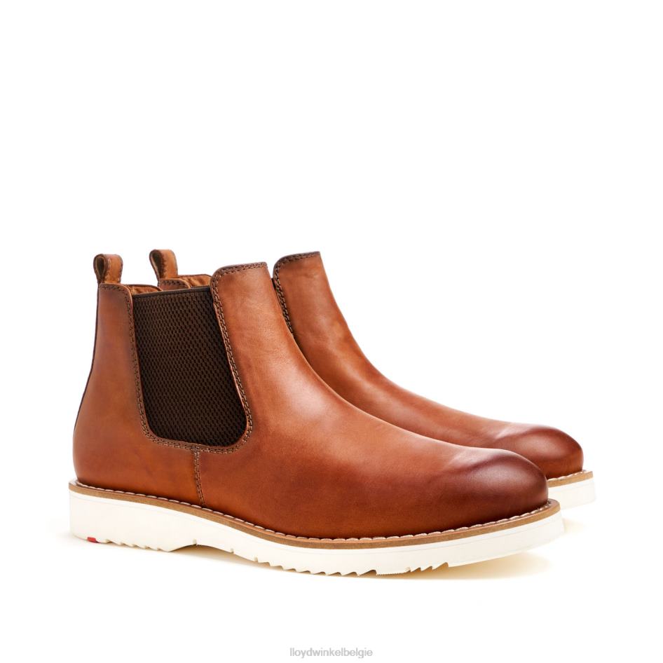 denton Heren LLOYD bruin schoenen ZJ6BL477