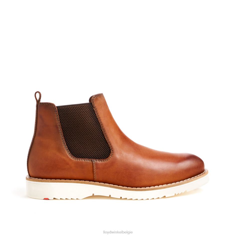 denton Heren LLOYD bruin schoenen ZJ6BL477