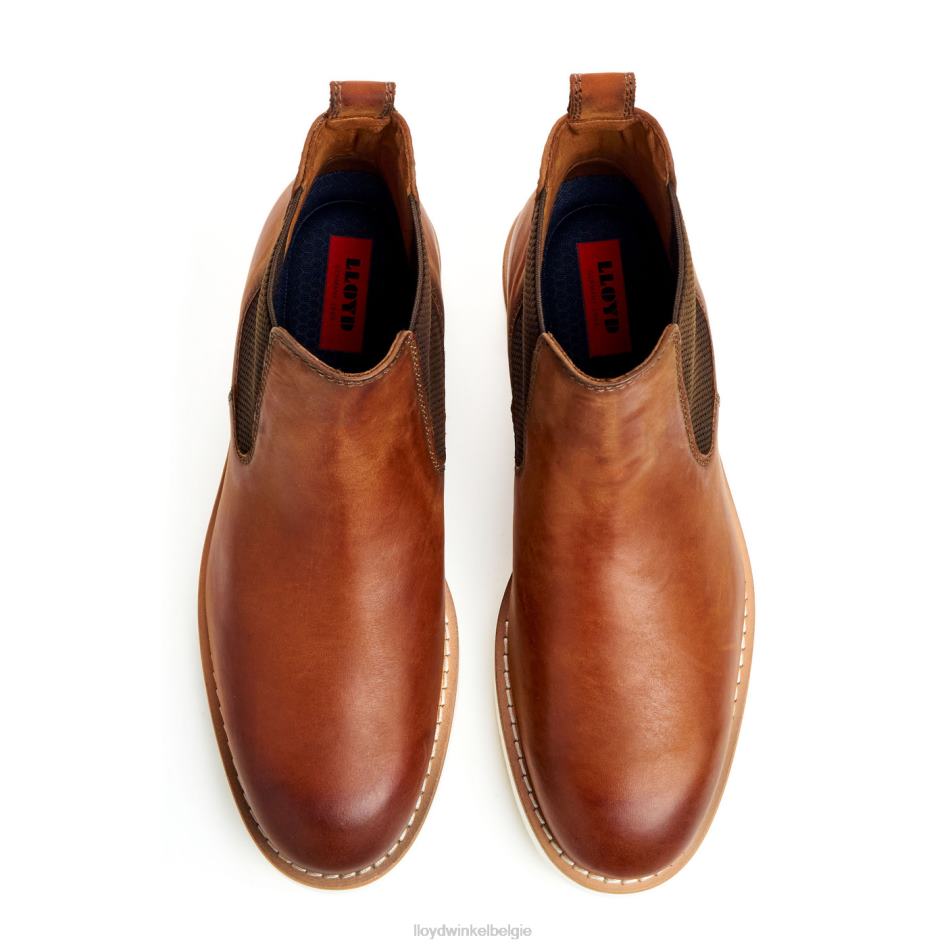 denton Heren LLOYD bruin schoenen ZJ6BL477