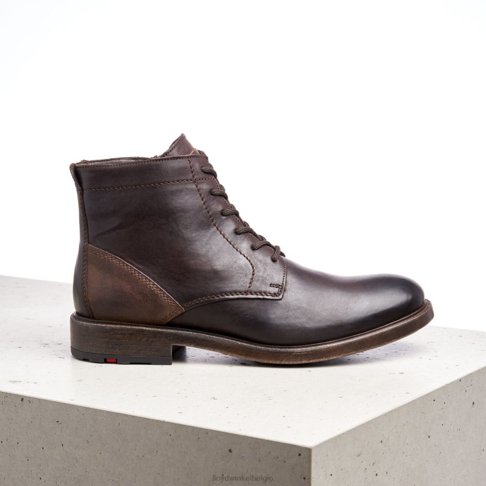 dubbel Heren LLOYD bruin schoenen ZJ6BL526