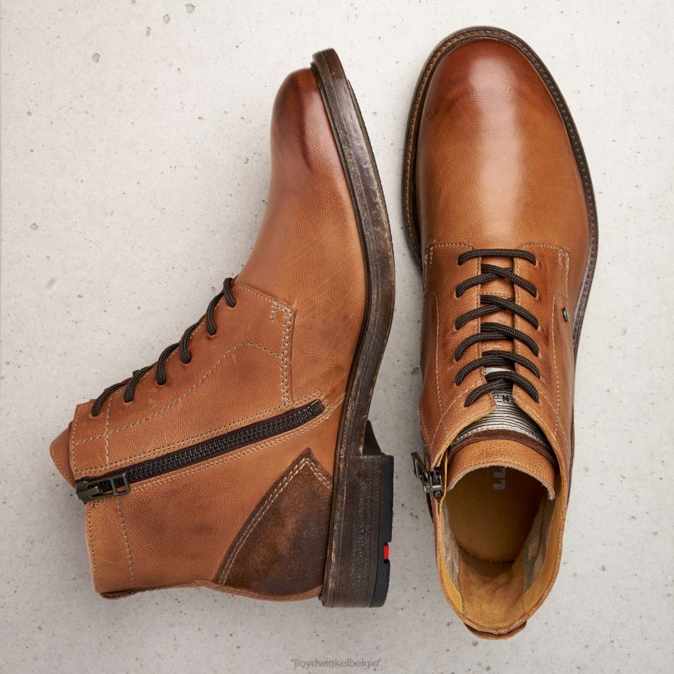 dwayn Heren LLOYD bruin schoenen ZJ6BL535