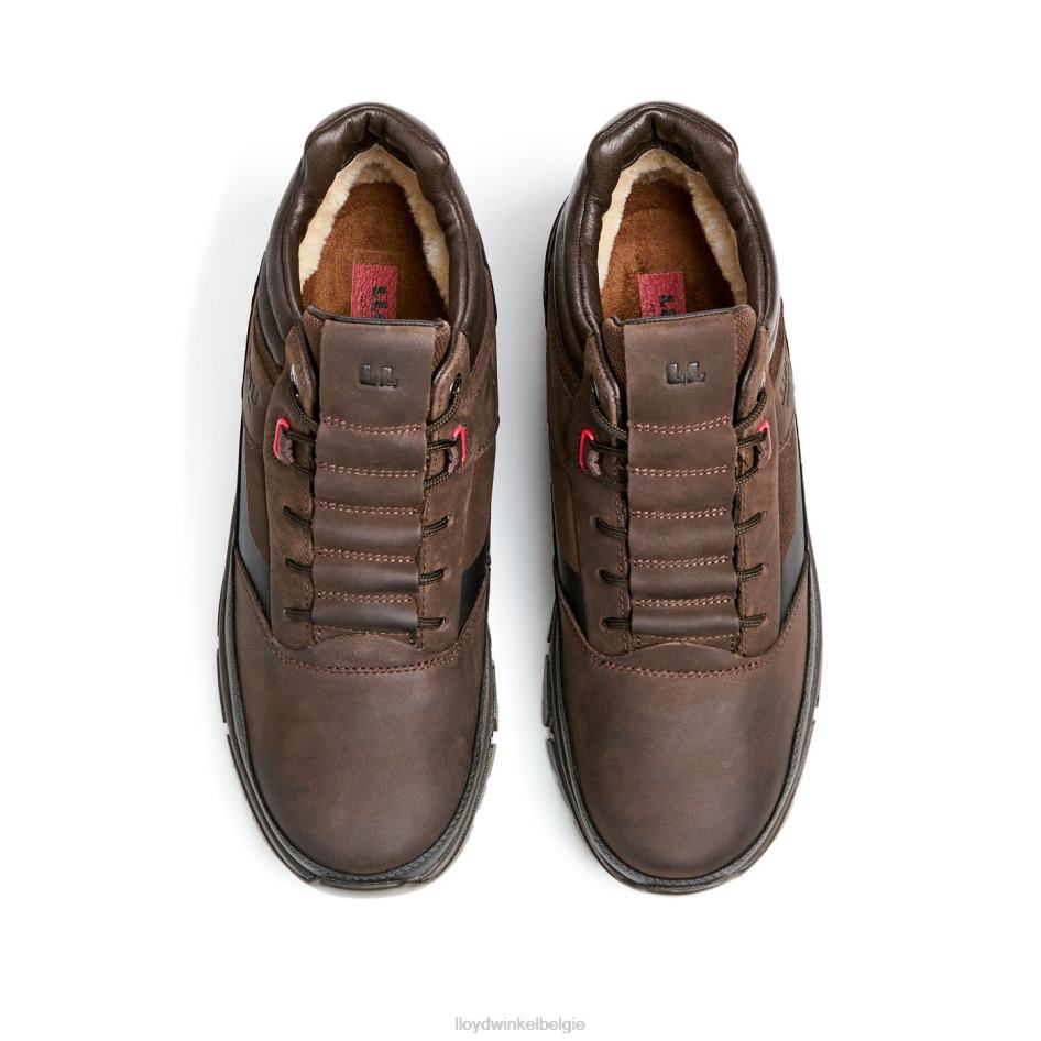 ed Heren LLOYD bruin schoenen ZJ6BL467