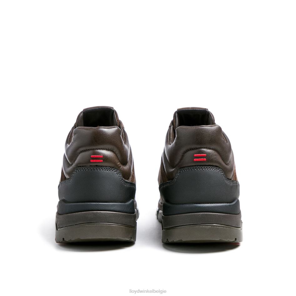 ed Heren LLOYD bruin schoenen ZJ6BL467