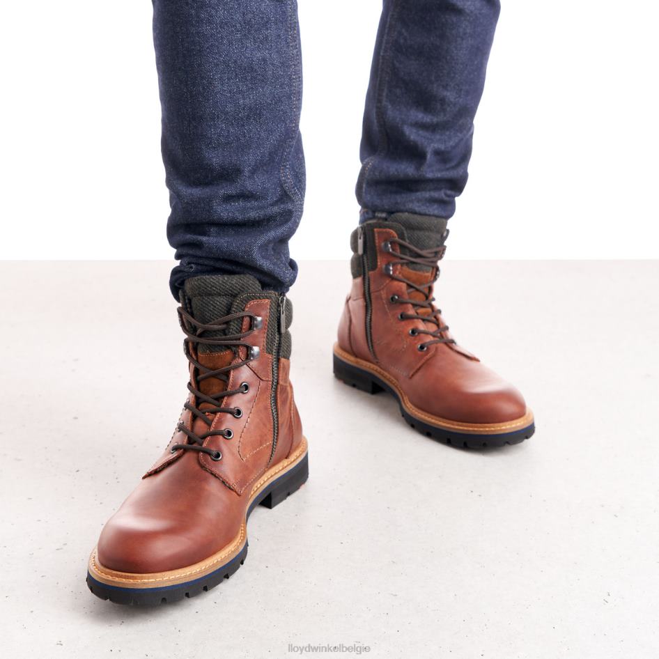 flavio Heren LLOYD bruin schoenen ZJ6BL506