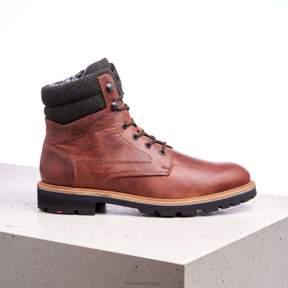 flavio Heren LLOYD bruin schoenen ZJ6BL506