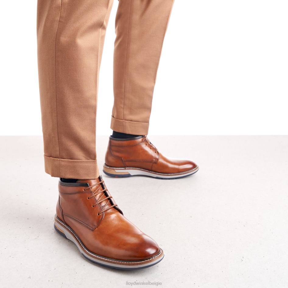 gijon Heren LLOYD bruin schoenen ZJ6BL556