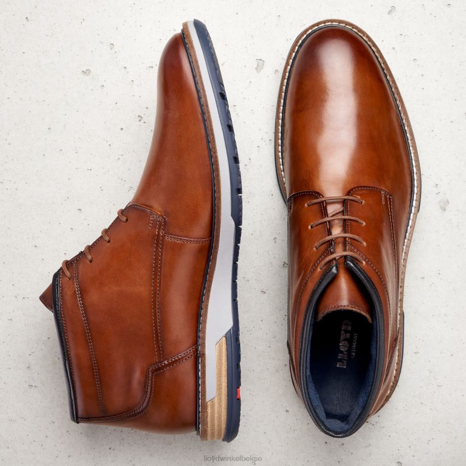 gijon Heren LLOYD bruin schoenen ZJ6BL556