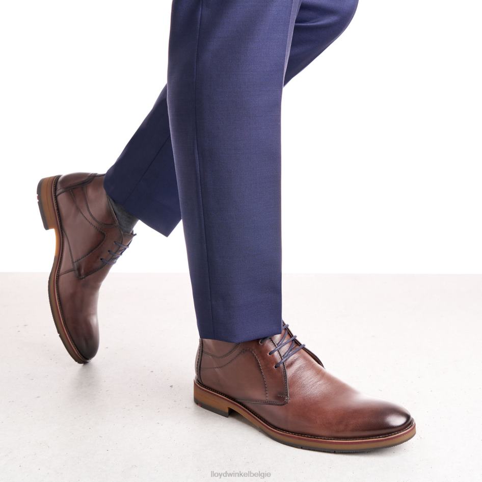 hastings Heren LLOYD bruin schoenen ZJ6BL566