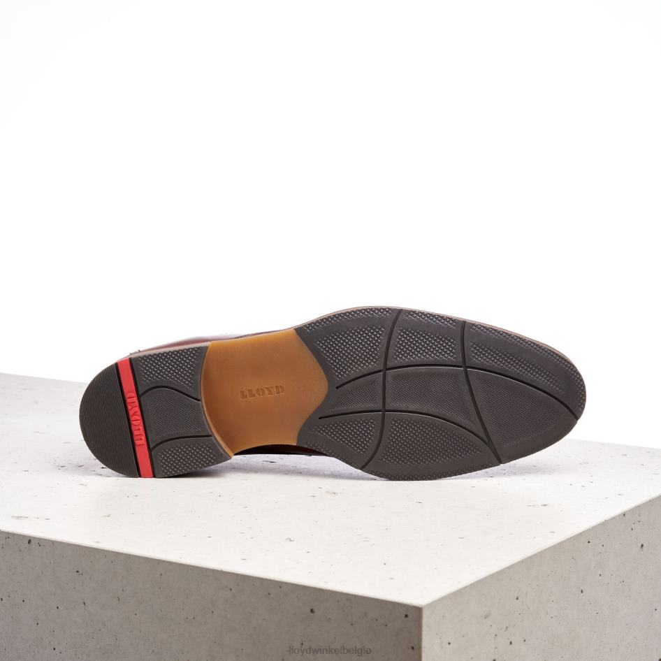 hastings Heren LLOYD bruin schoenen ZJ6BL566