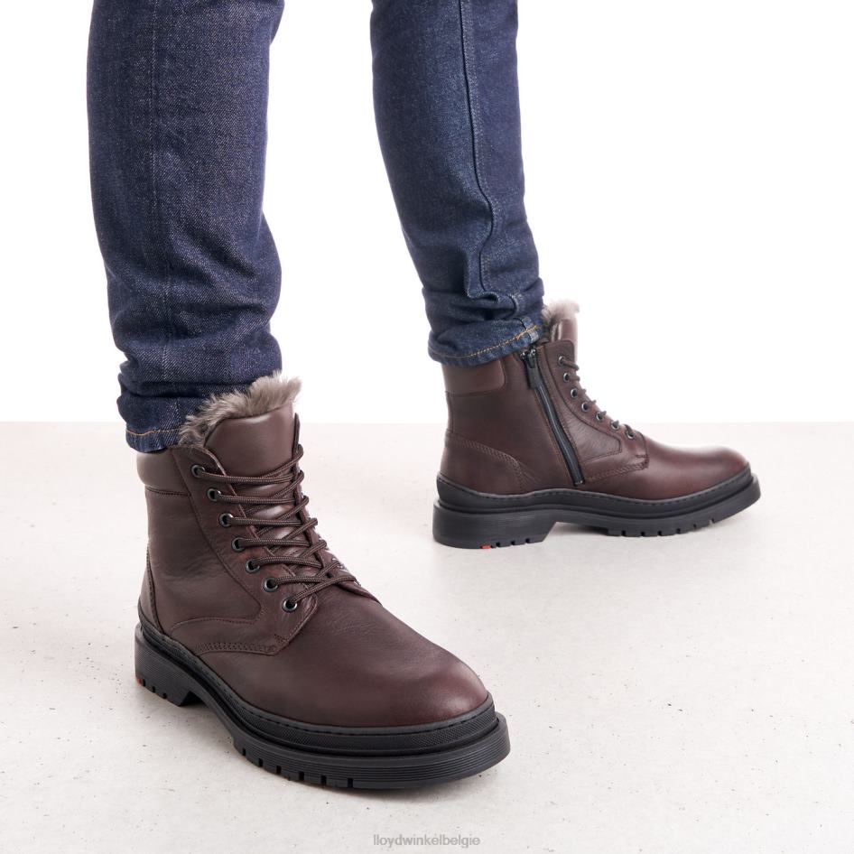 hollis Heren LLOYD bruin schoenen ZJ6BL509