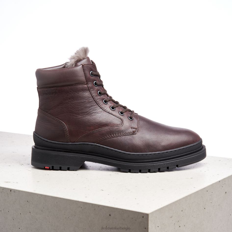 hollis Heren LLOYD bruin schoenen ZJ6BL509