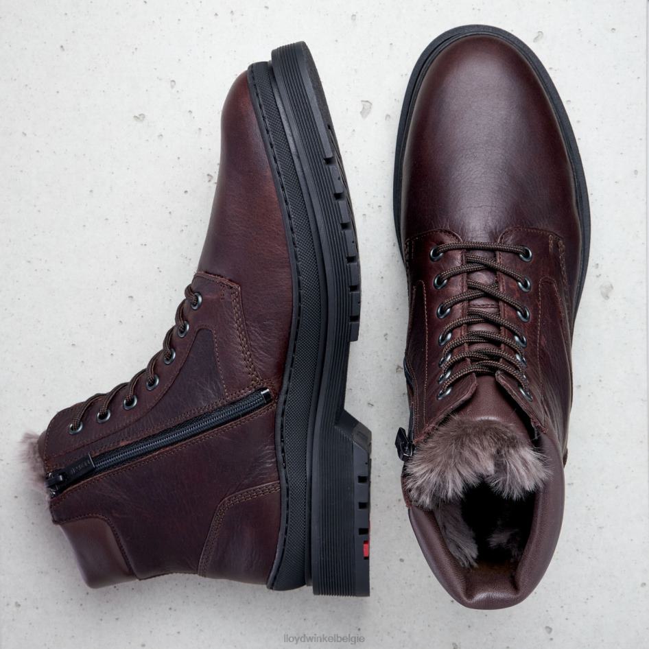 hollis Heren LLOYD bruin schoenen ZJ6BL509