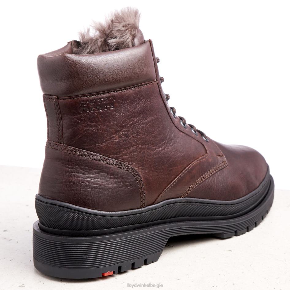 hollis Heren LLOYD bruin schoenen ZJ6BL509