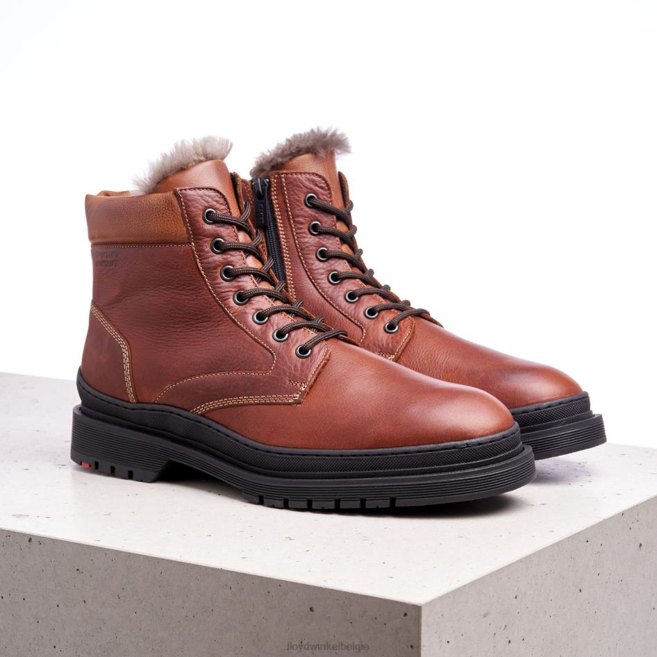 hollis Heren LLOYD bruin schoenen ZJ6BL537