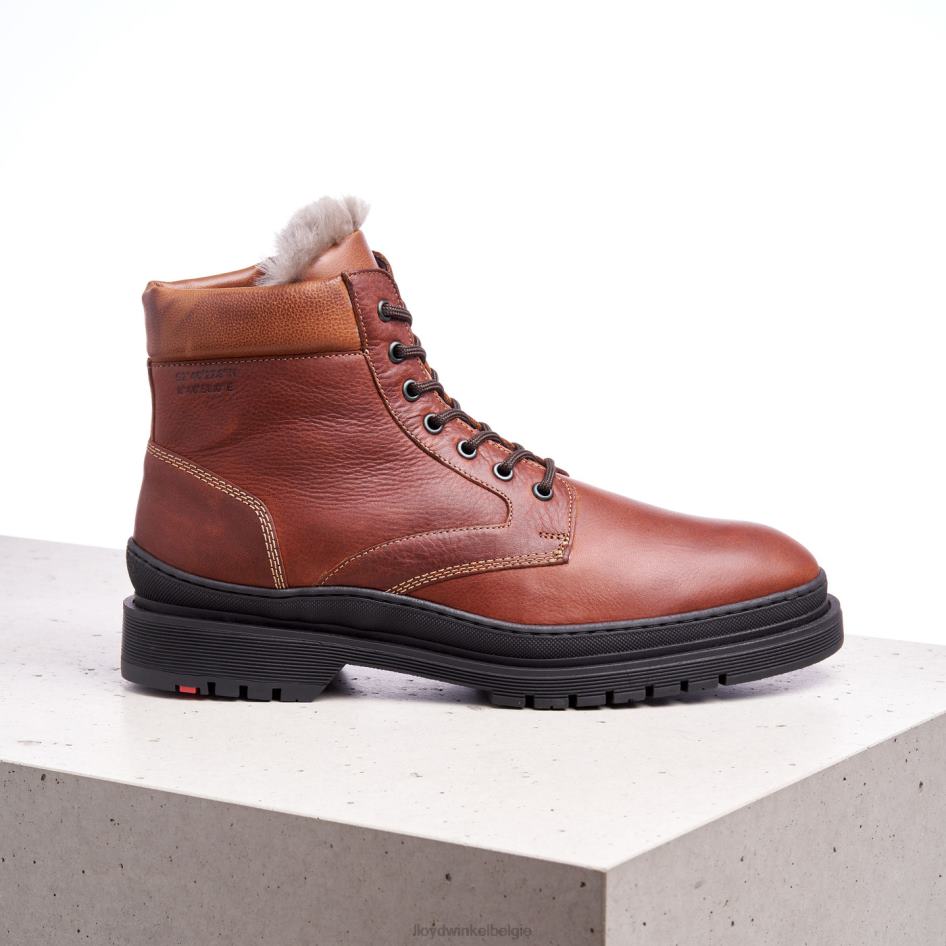 hollis Heren LLOYD bruin schoenen ZJ6BL537