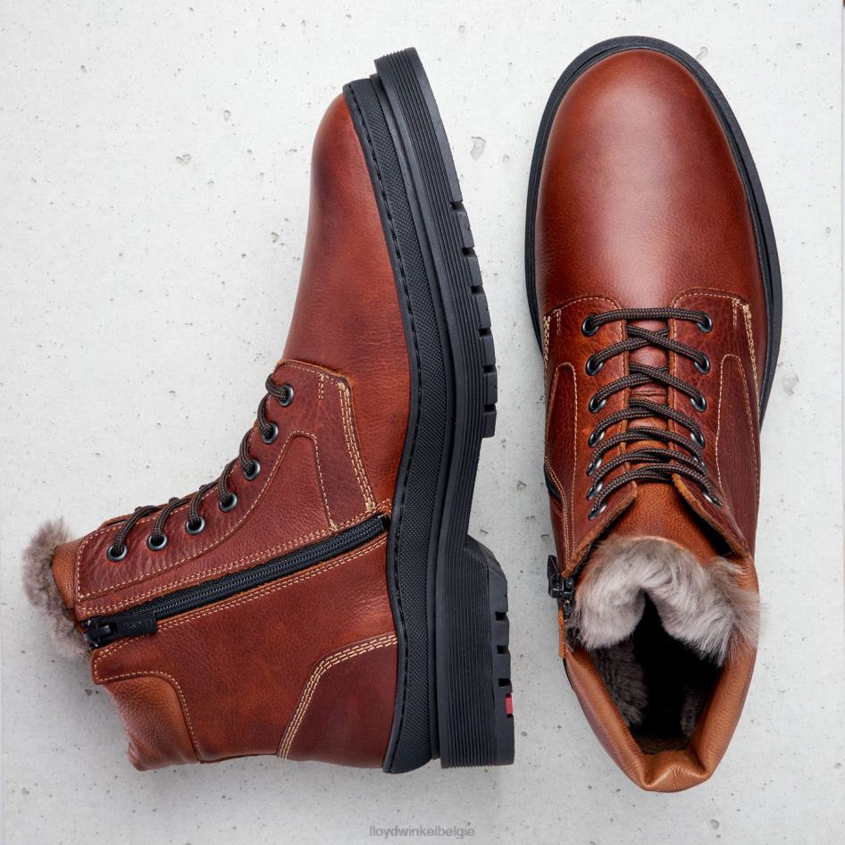 hollis Heren LLOYD bruin schoenen ZJ6BL537