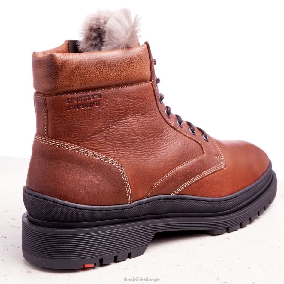 hollis Heren LLOYD bruin schoenen ZJ6BL537