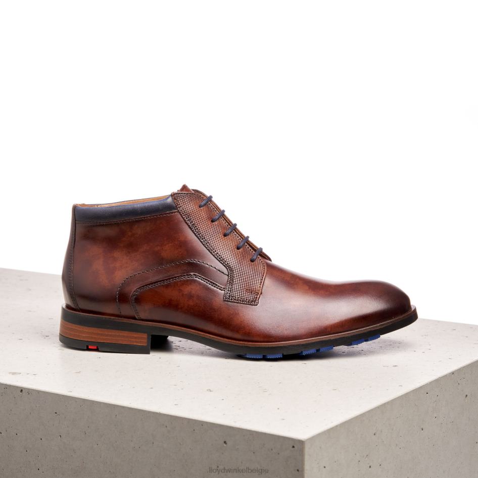 jaron Heren LLOYD bruin schoenen ZJ6BL542