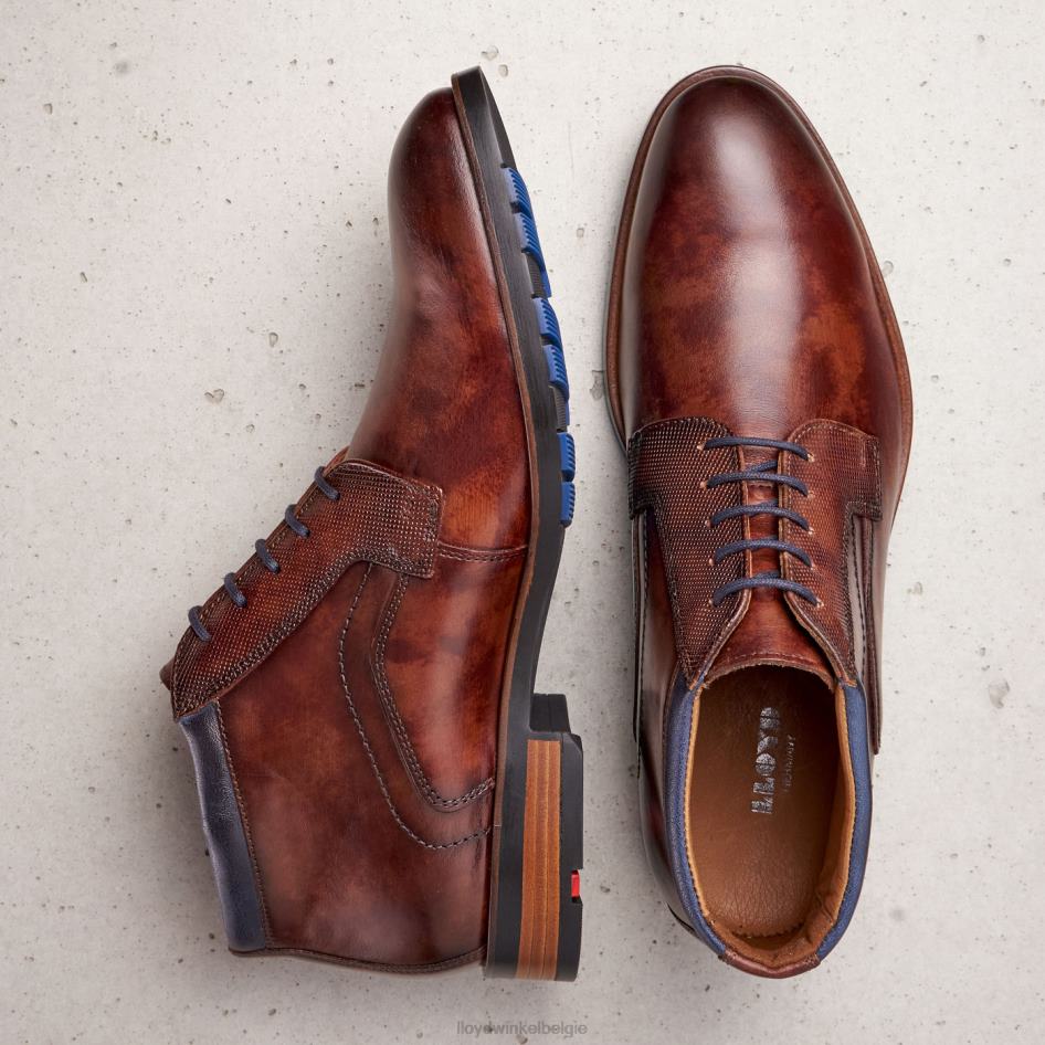 jaron Heren LLOYD bruin schoenen ZJ6BL542