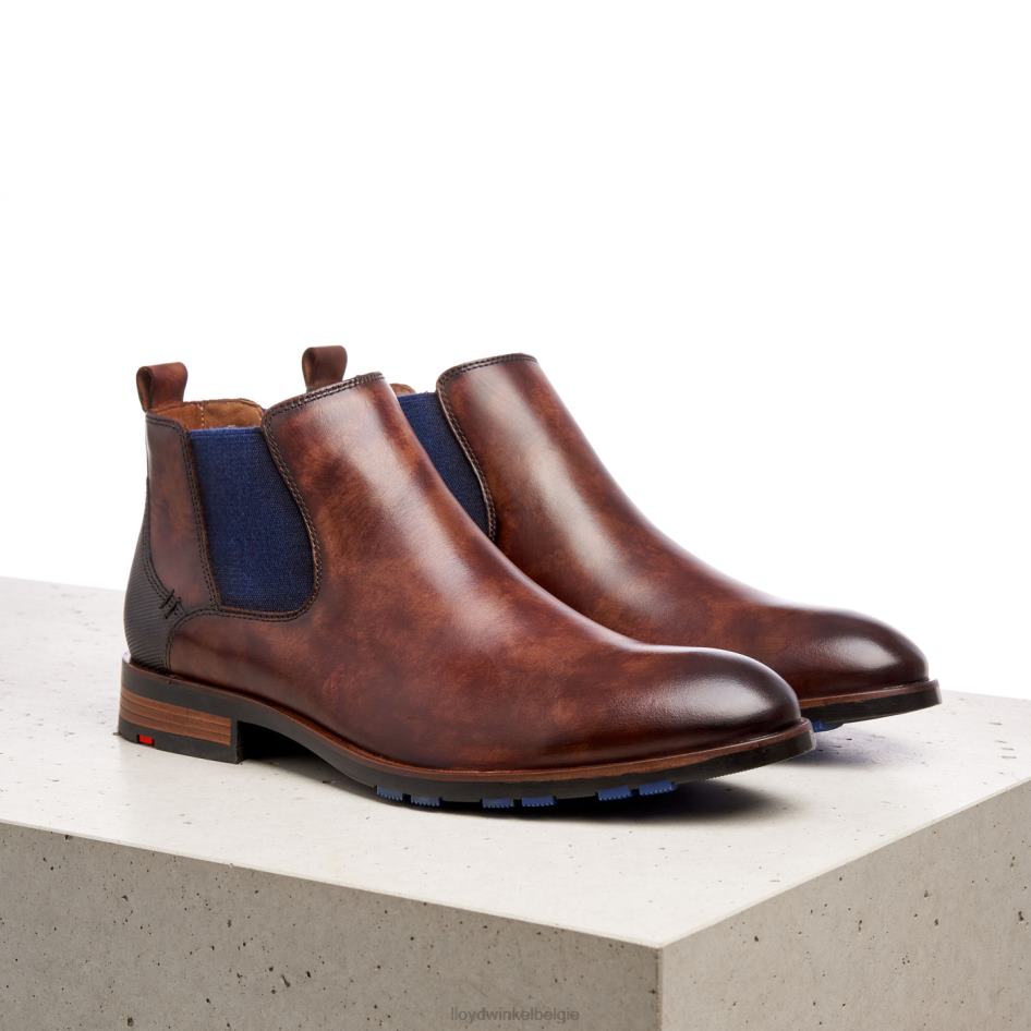 jaser Heren LLOYD bruin schoenen ZJ6BL200