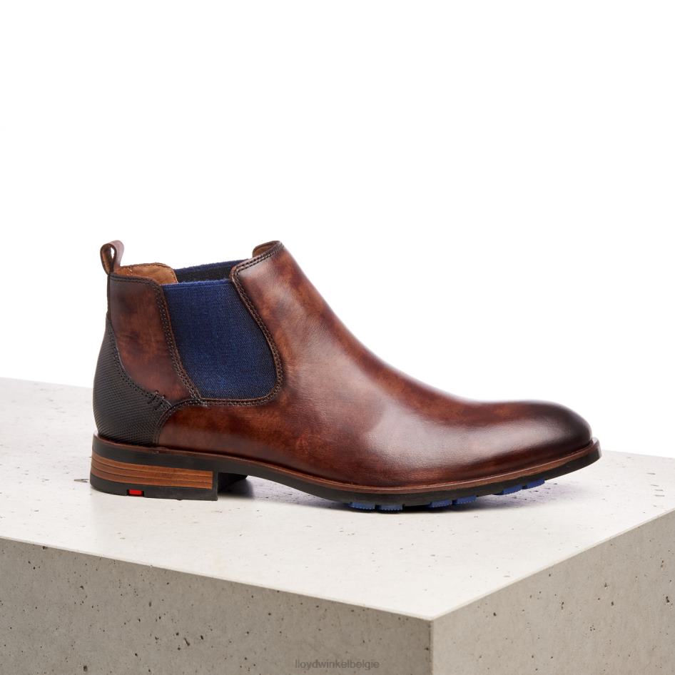 jaser Heren LLOYD bruin schoenen ZJ6BL200