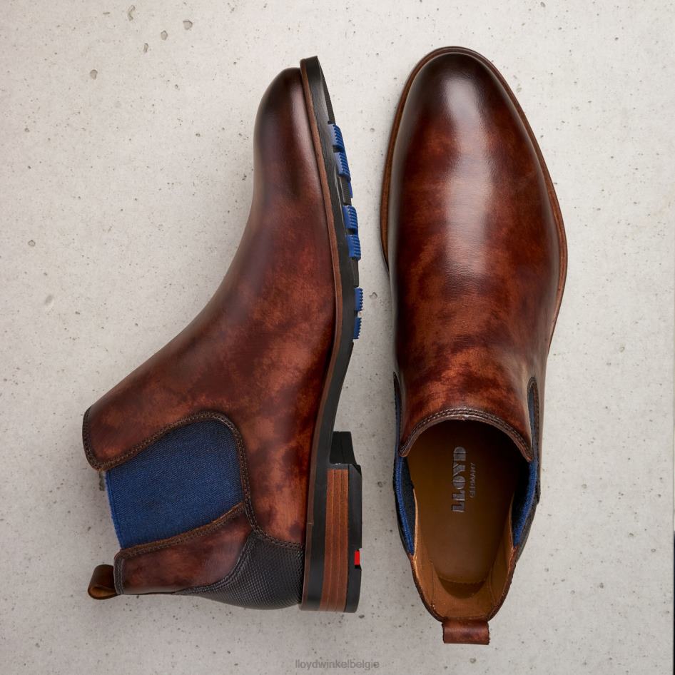 jaser Heren LLOYD bruin schoenen ZJ6BL200