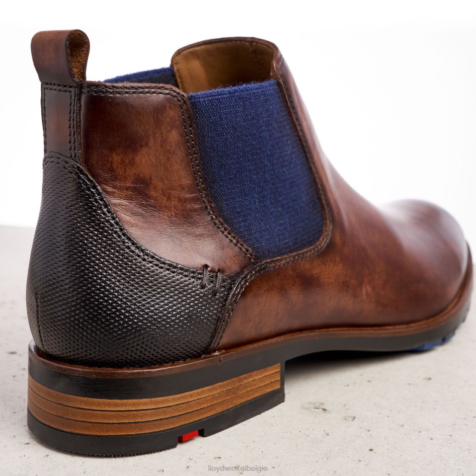 jaser Heren LLOYD bruin schoenen ZJ6BL200